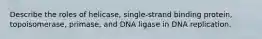 Describe the roles of helicase, single-strand binding protein, topoisomerase, primase, and DNA ligase in DNA replication.