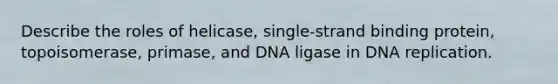 Describe the roles of helicase, single-strand binding protein, topoisomerase, primase, and DNA ligase in DNA replication.