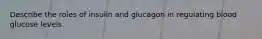 Describe the roles of insulin and glucagon in regulating blood glucose levels