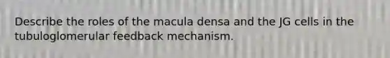 Describe the roles of the macula densa and the JG cells in the tubuloglomerular feedback mechanism.