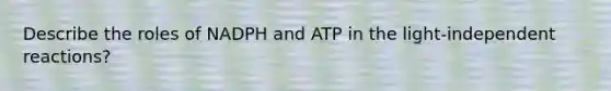 Describe the roles of NADPH and ATP in the light-independent reactions?