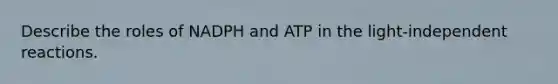 Describe the roles of NADPH and ATP in the light-independent reactions.