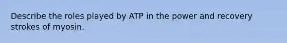 Describe the roles played by ATP in the power and recovery strokes of myosin.