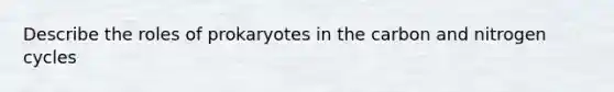 Describe the roles of prokaryotes in the carbon and nitrogen cycles