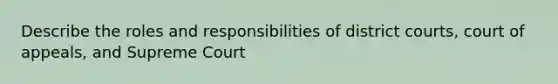 Describe the roles and responsibilities of district courts, court of appeals, and Supreme Court