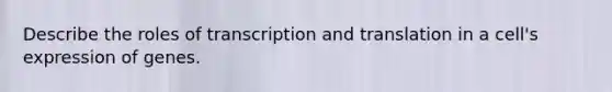 Describe the roles of transcription and translation in a cell's expression of genes.