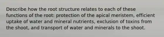 Describe how the root structure relates to each of these functions of the root: protection of the apical meristem, efficient uptake of water and mineral nutrients, exclusion of toxins from the shoot, and transport of water and minerals to the shoot.