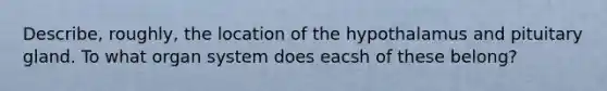 Describe, roughly, the location of the hypothalamus and pituitary gland. To what organ system does eacsh of these belong?