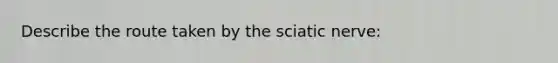 Describe the route taken by the sciatic nerve: