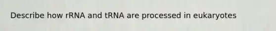 Describe how rRNA and tRNA are processed in eukaryotes