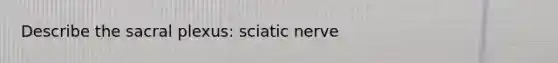 Describe the sacral plexus: sciatic nerve