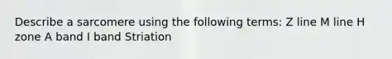 Describe a sarcomere using the following terms: Z line M line H zone A band I band Striation
