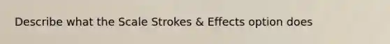 Describe what the Scale Strokes & Effects option does