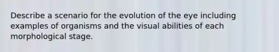 Describe a scenario for the evolution of the eye including examples of organisms and the visual abilities of each morphological stage.