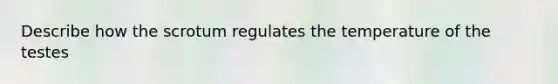 Describe how the scrotum regulates the temperature of the testes