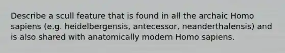 Describe a scull feature that is found in all the archaic Homo sapiens (e.g. heidelbergensis, antecessor, neanderthalensis) and is also shared with anatomically modern Homo sapiens.