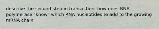 describe the second step in transaction. how does RNA polymerase "know" which RNA nucleotides to add to the growing mRNA chain