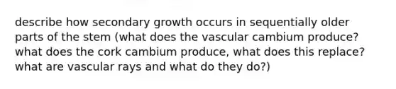 describe how secondary growth occurs in sequentially older parts of the stem (what does the vascular cambium produce? what does the cork cambium produce, what does this replace? what are vascular rays and what do they do?)