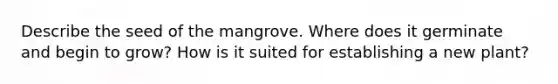 Describe the seed of the mangrove. Where does it germinate and begin to grow? How is it suited for establishing a new plant?