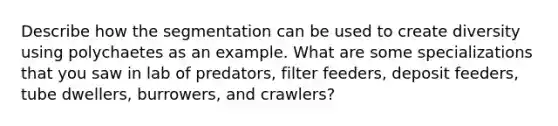 Describe how the segmentation can be used to create diversity using polychaetes as an example. What are some specializations that you saw in lab of predators, filter feeders, deposit feeders, tube dwellers, burrowers, and crawlers?