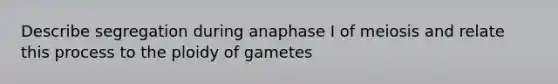 Describe segregation during anaphase I of meiosis and relate this process to the ploidy of gametes