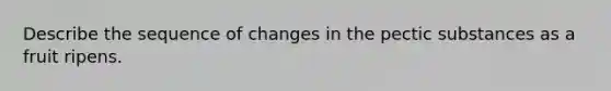 Describe the sequence of changes in the pectic substances as a fruit ripens.