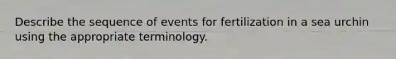 Describe the sequence of events for fertilization in a sea urchin using the appropriate terminology.