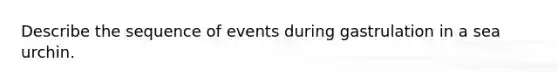 Describe the sequence of events during gastrulation in a sea urchin.