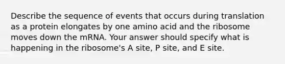 Describe the sequence of events that occurs during translation as a protein elongates by one amino acid and the ribosome moves down the mRNA. Your answer should specify what is happening in the ribosome's A site, P site, and E site.