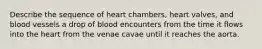 Describe the sequence of heart chambers, heart valves, and blood vessels a drop of blood encounters from the time it flows into the heart from the venae cavae until it reaches the aorta.