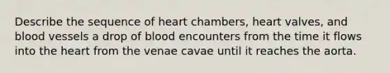 Describe the sequence of heart chambers, heart valves, and blood vessels a drop of blood encounters from the time it flows into the heart from the venae cavae until it reaches the aorta.