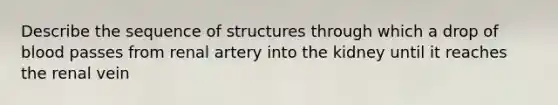 Describe the sequence of structures through which a drop of blood passes from renal artery into the kidney until it reaches the renal vein