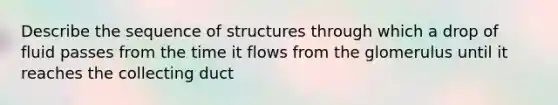 Describe the sequence of structures through which a drop of fluid passes from the time it flows from the glomerulus until it reaches the collecting duct