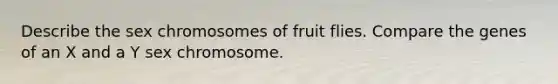 Describe the sex chromosomes of fruit flies. Compare the genes of an X and a Y sex chromosome.