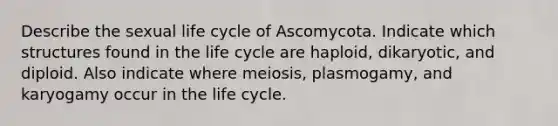 Describe the sexual life cycle of Ascomycota. Indicate which structures found in the life cycle are haploid, dikaryotic, and diploid. Also indicate where meiosis, plasmogamy, and karyogamy occur in the life cycle.