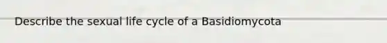 Describe the sexual life cycle of a Basidiomycota