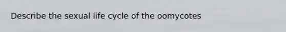 Describe the sexual life cycle of the oomycotes