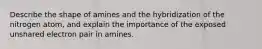 Describe the shape of amines and the hybridization of the nitrogen atom, and explain the importance of the exposed unshared electron pair in amines.