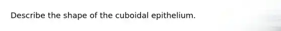 Describe the shape of the cuboidal epithelium.