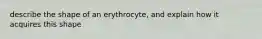 describe the shape of an erythrocyte, and explain how it acquires this shape