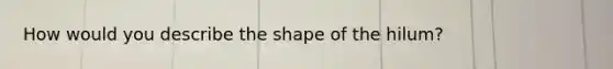 How would you describe the shape of the hilum?