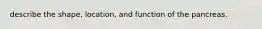 describe the shape, location, and function of the pancreas.