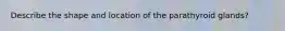Describe the shape and location of the parathyroid glands?