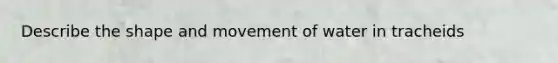 Describe the shape and movement of water in tracheids