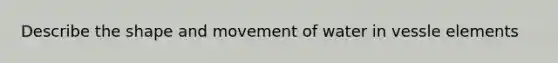 Describe the shape and movement of water in vessle elements