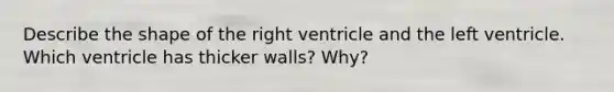 Describe the shape of the right ventricle and the left ventricle. Which ventricle has thicker walls? Why?