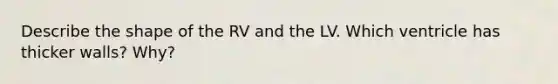 Describe the shape of the RV and the LV. Which ventricle has thicker walls? Why?