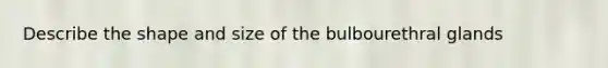 Describe the shape and size of the bulbourethral glands