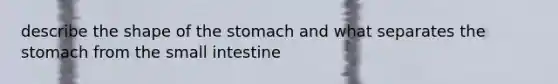 describe the shape of the stomach and what separates the stomach from the small intestine