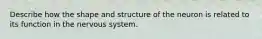 Describe how the shape and structure of the neuron is related to its function in the nervous system.